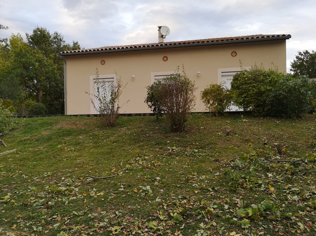 Arbor & Sens | Rénovation d’un jardin à Brax