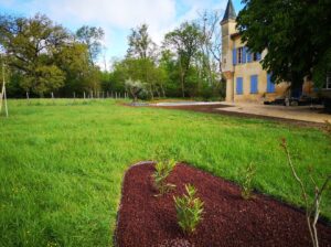 Arbor & Sens | Rénovation d’un jardin à Brax