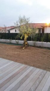 Arbor & Sens | Éclairage pour jardin à Toulouse et ses environs