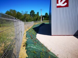 Arbor & Sens | Création d’un espace vert pour une société à Pujaudran