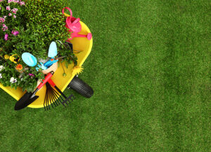 Entretien de jardins