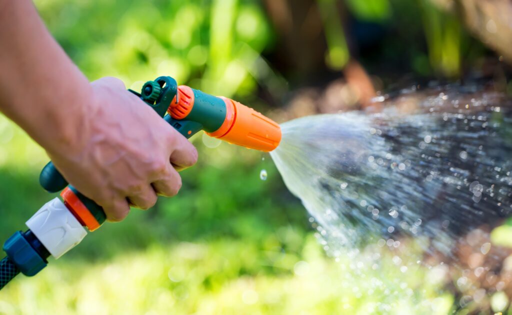 Arbor et Sens : Comment entretenir un jardin sec à Tournefeuille?