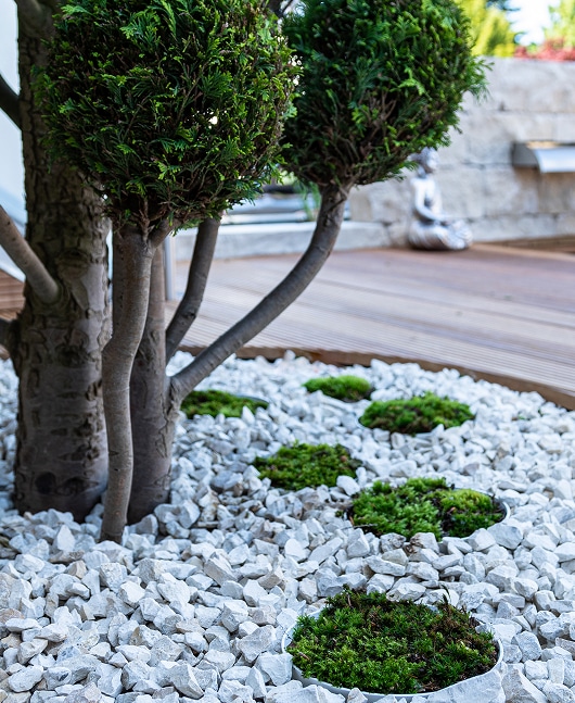 Jardin zen minimaliste avec des arbres topiaries, du gravier blanc et des coussins de mousse verte, créant une ambiance paisible.