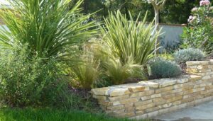 Arbor et Sens Jardins | Différents types de retenue de terre